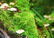先办事后付款的黑客QQ的正规渠道（有没有先办事后付款的黑客）